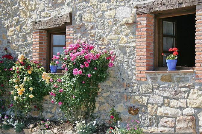 La Xica Ll Guest House Becena Exterior photo